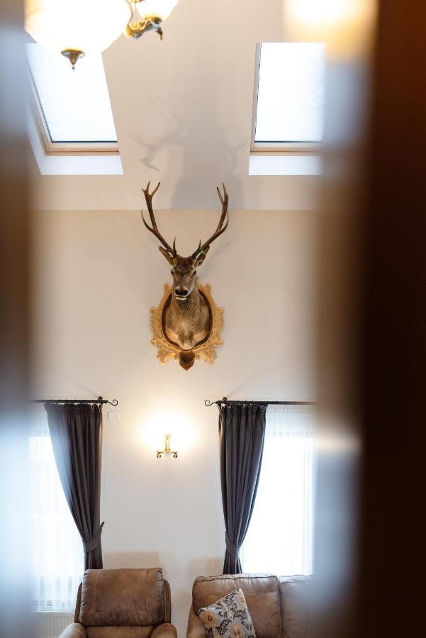 Transylvanian Relax House Lupeni  Extérieur photo